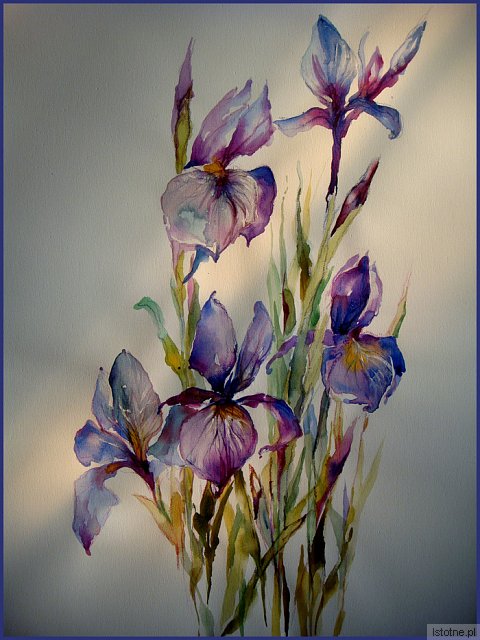 http://istotne.com/ii/pic/g/22/22920.jpg