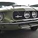 Shelby gt500 (zlot,aut,amerykany,festiwal)