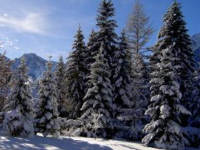 śnieg góry śnieg góry