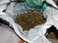 Marihuana Marihuana
