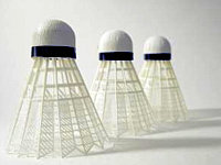 lotka badminton