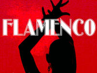 flamenco bok flamenco bok