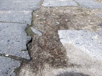 Chodnik al wojska polskiego Chodnik al wojska polskiego